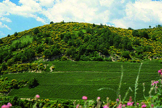 Federcave: la situazione delle attività estrattive in Umbria