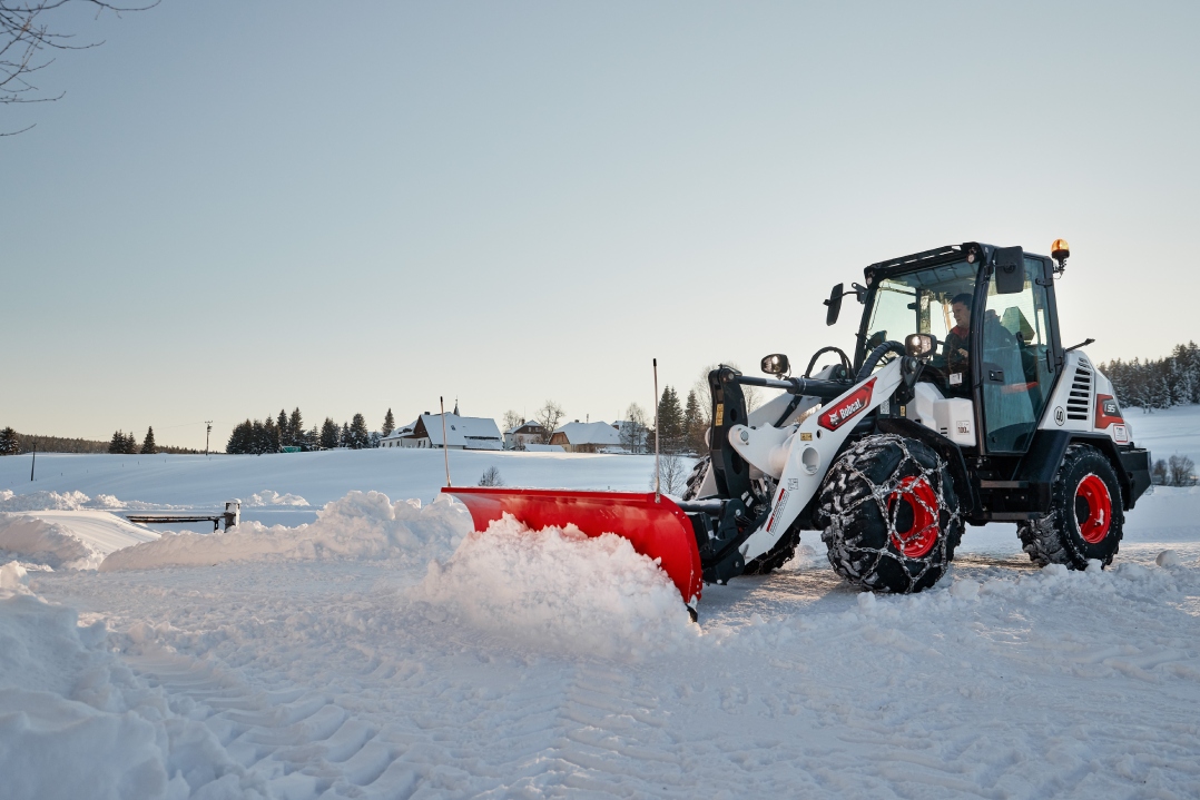 Bobcat, il ‘tough animal’ che affronta ogni inverno